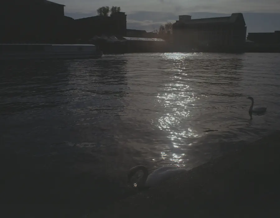 Berlin Aesthetics