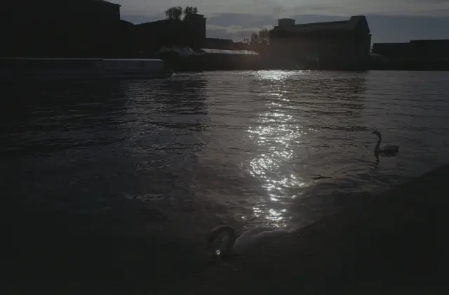 Berlin Aesthetics