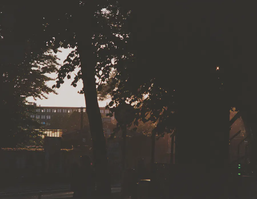 Berlin Aesthetics