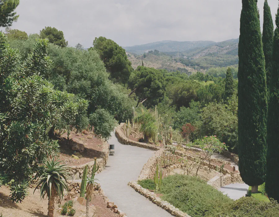 Malaga
