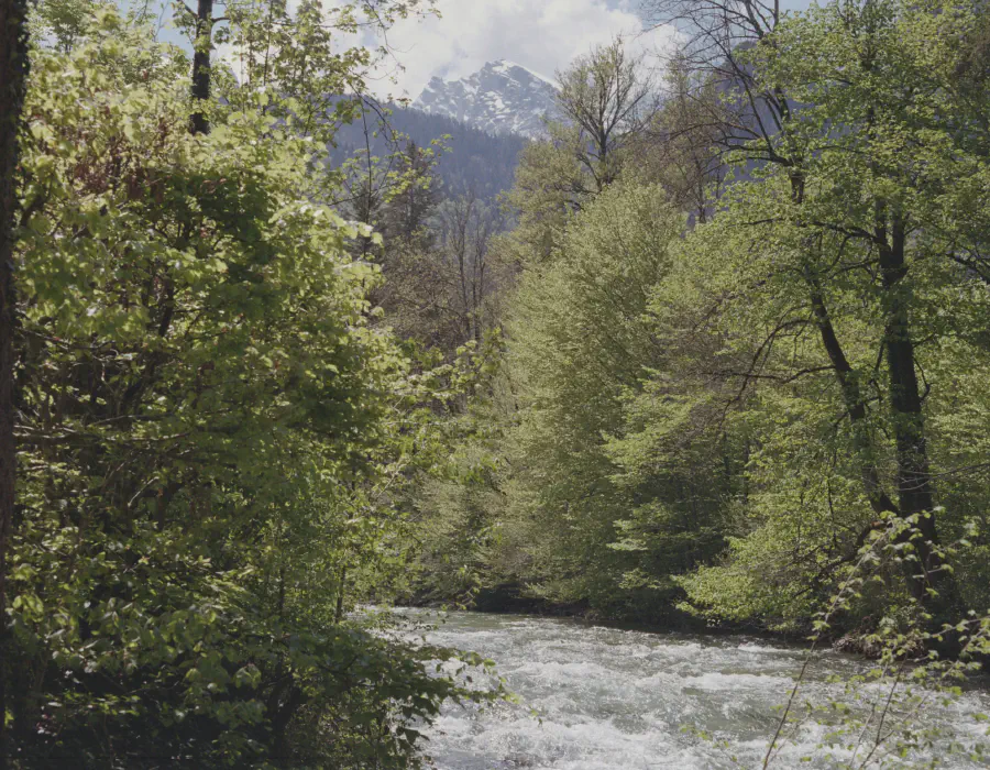 Salzburg