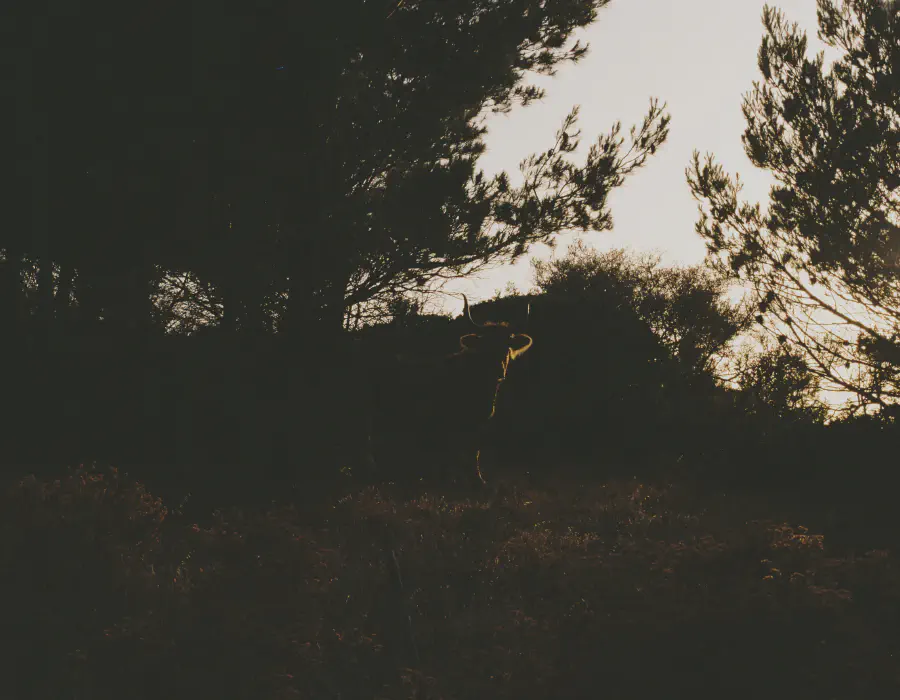 Sardegna