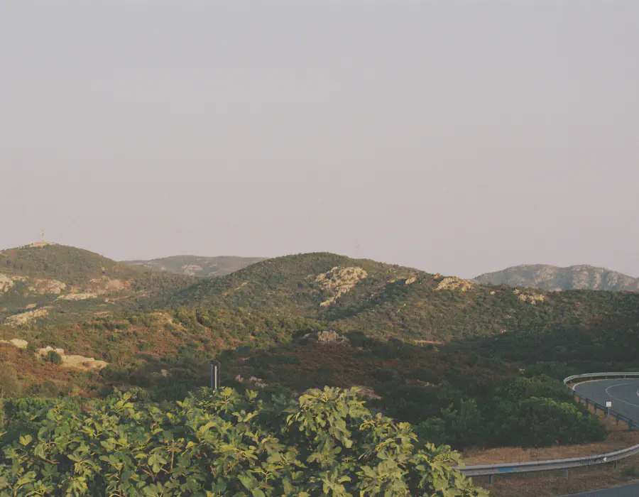 Sardegna