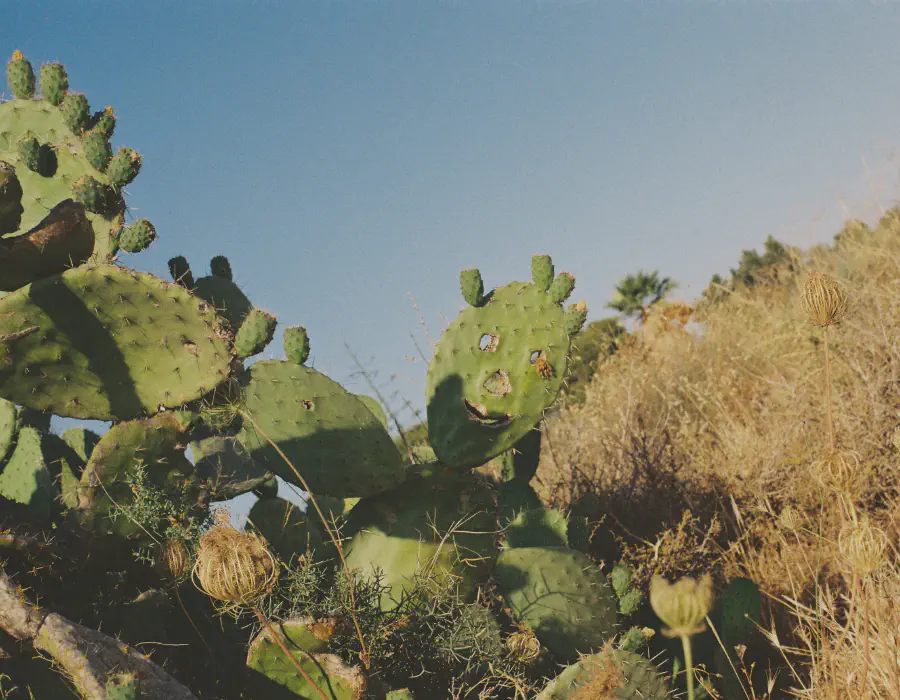 Sardegna