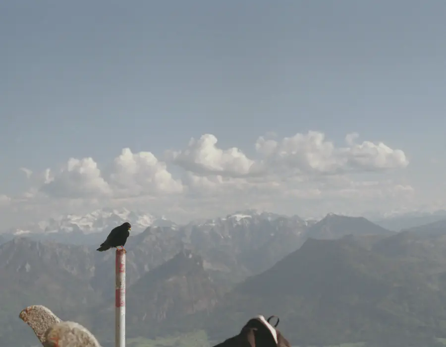 Schafsberg