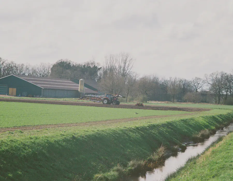Wippingen