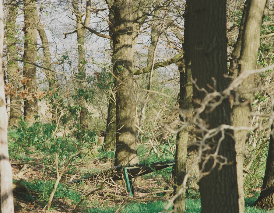 Wippingen